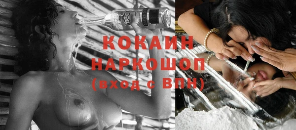 стафф Надым